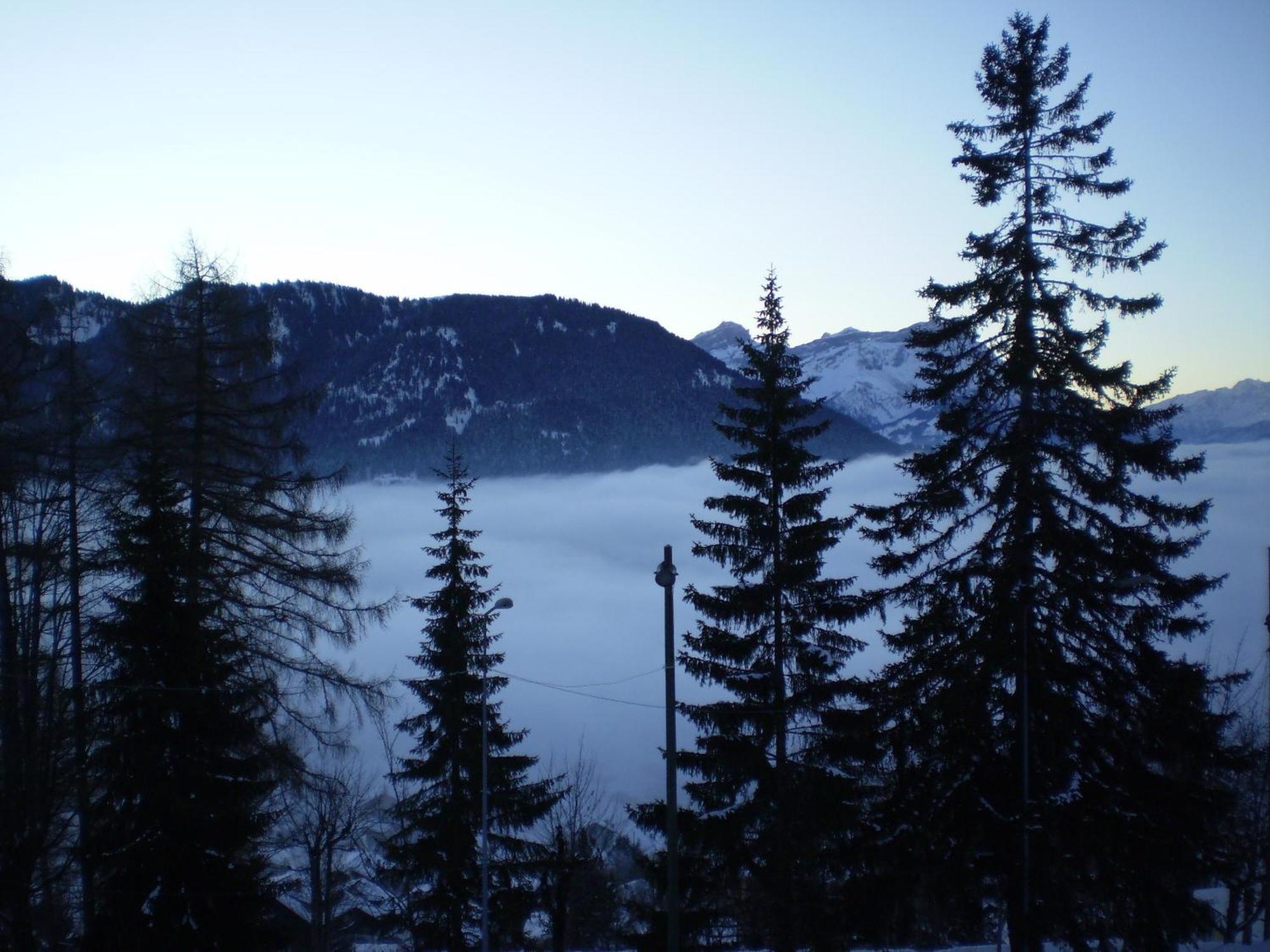 Résidences du Chamossaire Leysin Extérieur photo
